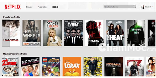 netflix là gì 2